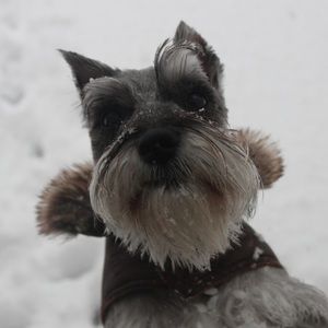 Meet your Posher, Natalie